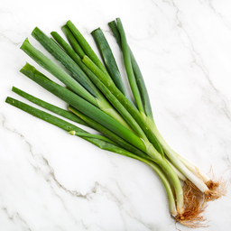 Organic Onion Leek